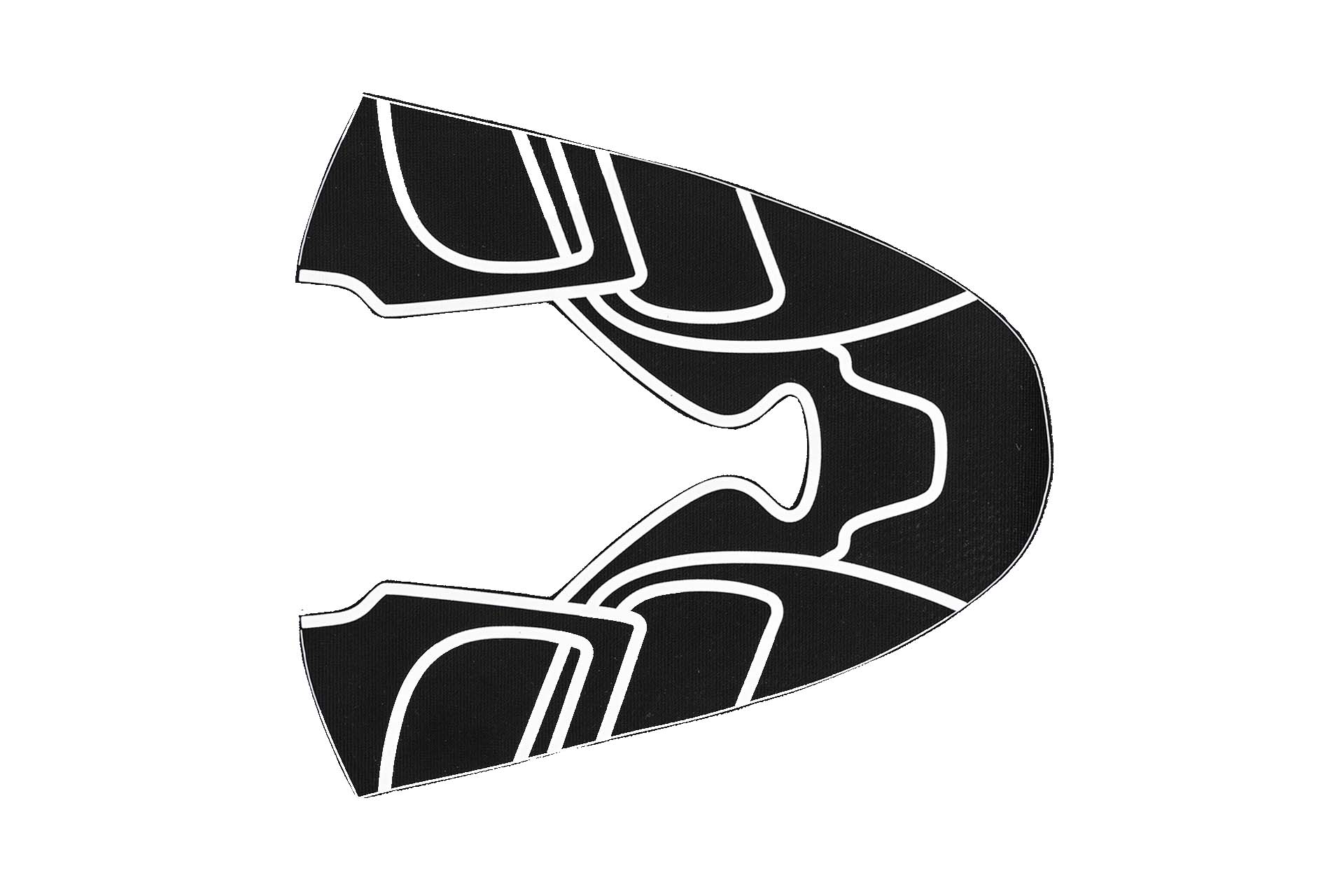 Tomaia